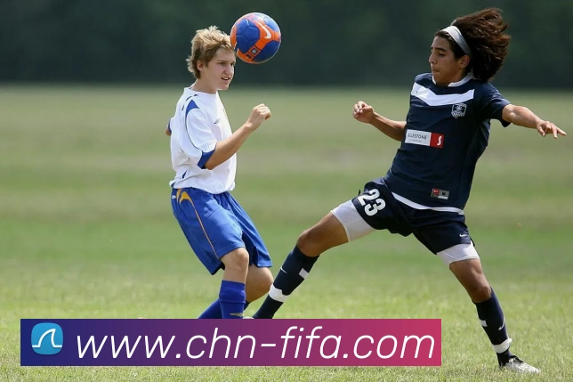 多媒体互动体验