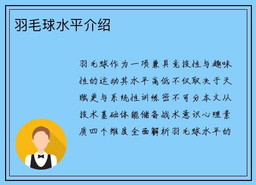 羽毛球水平介绍