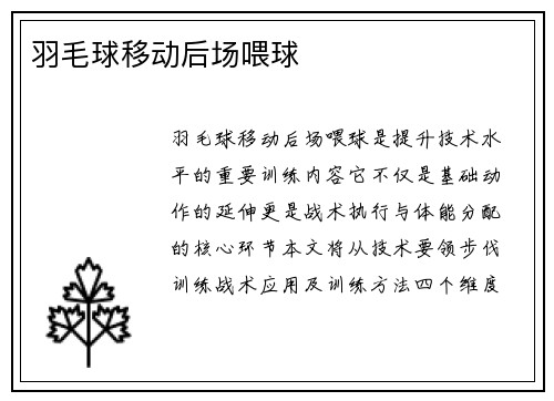 羽毛球移动后场喂球